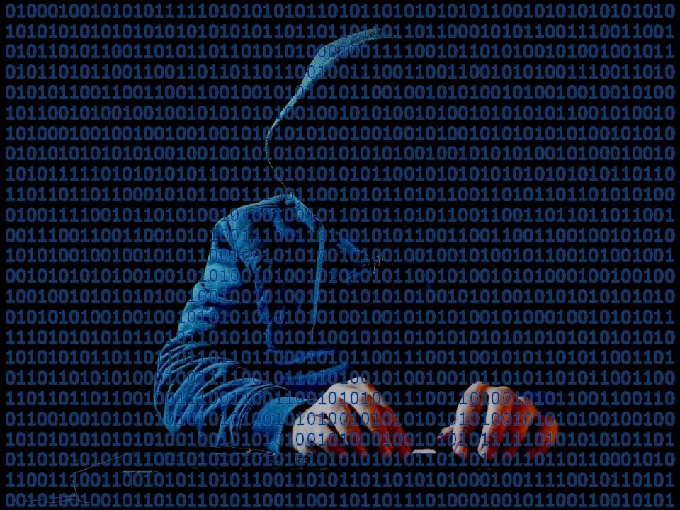 Stock image of a hooded figure at a keyboard overlaid with binary code, representing the cybercriminal group behind the Manchester Airports Group data breach